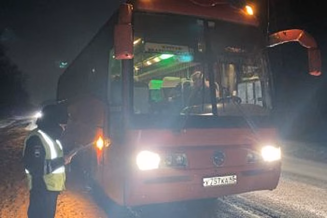 На трассе Екатеринбург-Курган автобус насмерть сбил пешехода