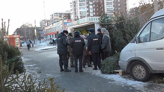 В Челябинске торговцы елками создают опасные ситуации на дорогах