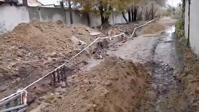 Чиновники пообещали наказать газовиков, перерывших дорогу к «володинскому» собачьему приюту