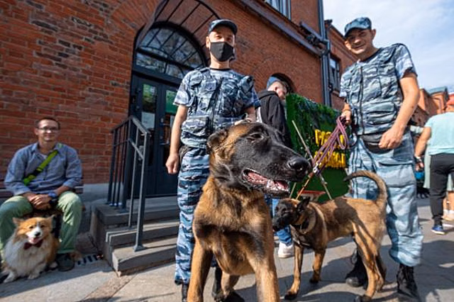 Неизвестные устроили драку со стрельбой в Подмосковье