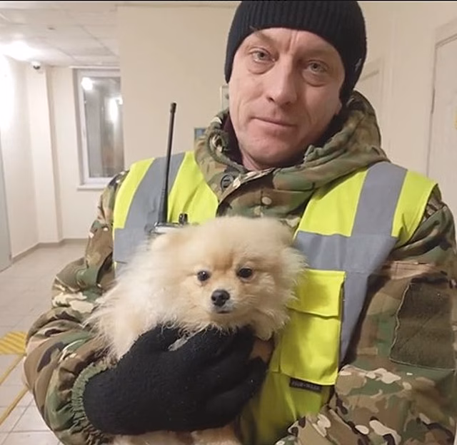 На трассе М-4 &laquo;Дон&raquo; собака сбежала из автомобиля хозяйки