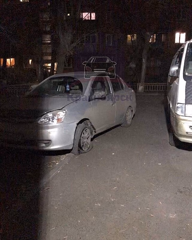На Кольцевой красноярцы и полицейские спасли замерзающего в машине щенка