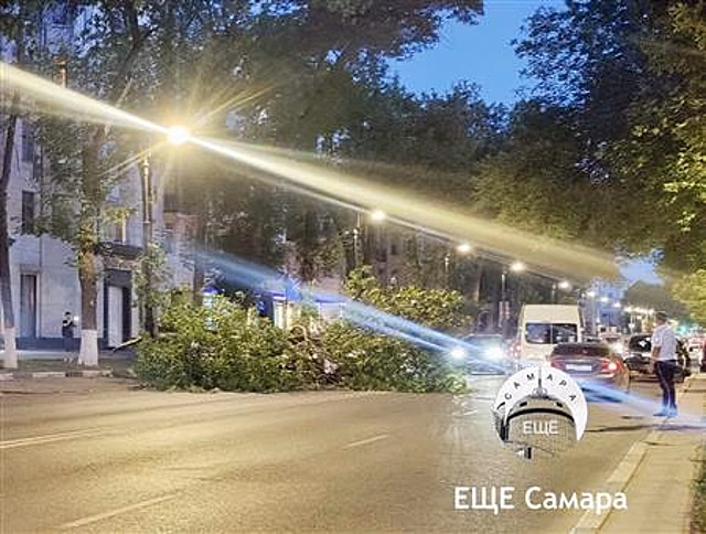 В центре Самары упавшее дерево повредило две машины