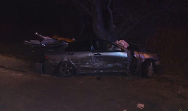 После ДТП и наезда на дерево в Волгограде пострадала автоледи