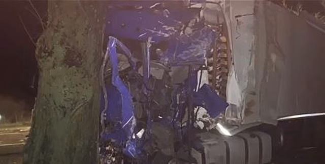 Под Багратионовском фура врезалась в дерево, водитель погиб