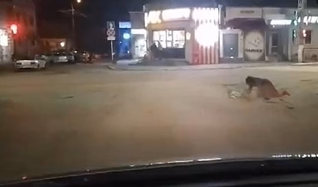 Под Волгоградом сняли на видео переползающую дорогу женщину-«зомби»