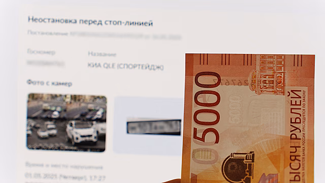Как проверить штраф по номеру постановления: инструкция