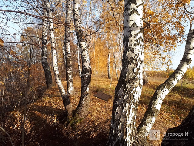 Более 1,5 млн рублей выделено на вырубку деревьев в Нижегородском районе
