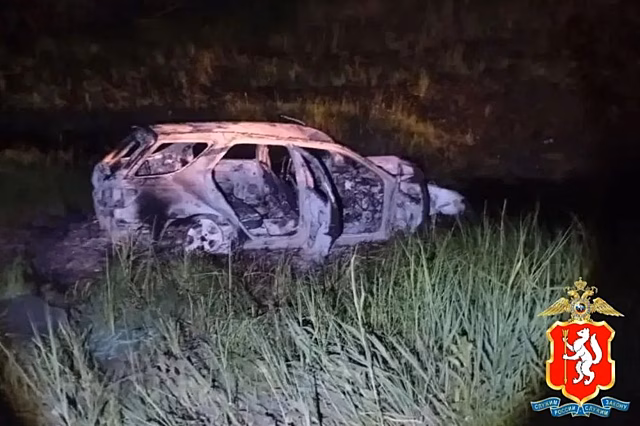 Семь человек получили травмы в ДТП с дикими животными в Свердловской области