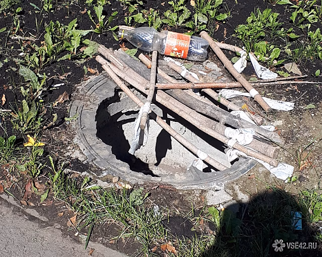 Неизвестные в Кемерове спрятали дыру в канализацию под ветками