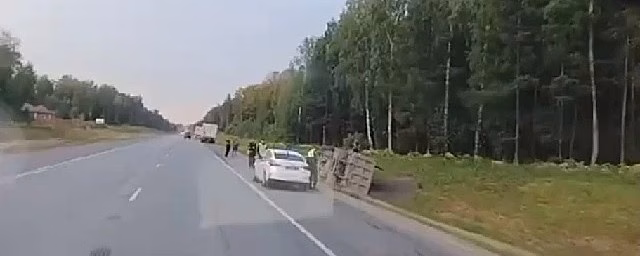 В Новосибирске в останки лося врезался большегруз и перевернулся на Северном объезде