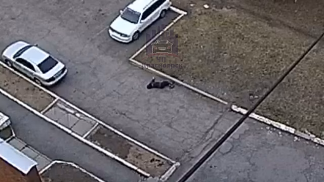 В Красноярске горожанин упал и умер прямо на улице