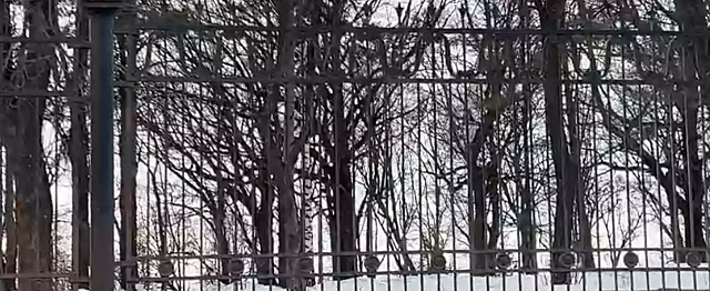 Ограду нижегородской «Швейцарии» восстановят с наступлением тепла