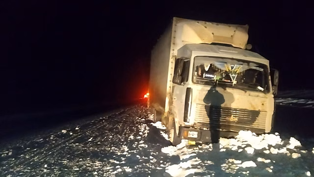 На трассе Тюмень-Омск семья с малолетними детьми попала в ДТП с большегрузом