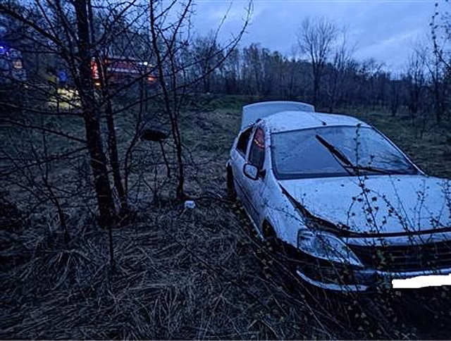 В Октябрьске пострадали водитель и пассажир съехавшего в кювет Renault Logan