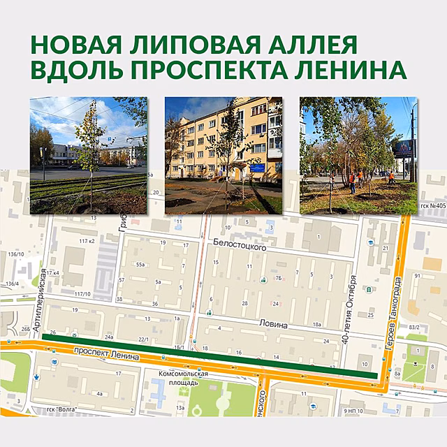 Главный проспект Челябинска украсит липовая аллея