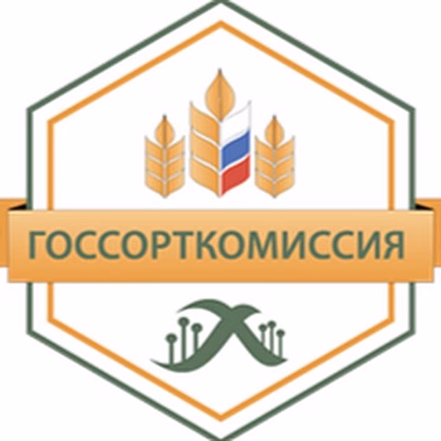 Крупного чиновника в Ростове осудили на 8,5 года за взятку в 2 млн рублей