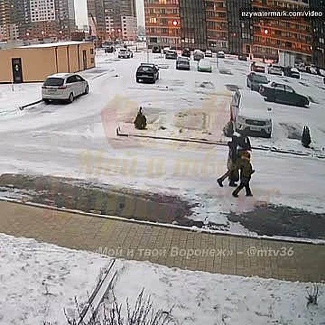 Нападение стаи бродячих собак на российских подростков попало на видео