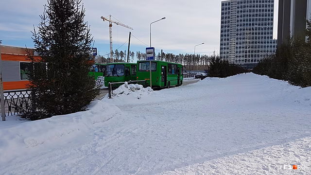 Жители микрорайона Светлого собрали подписи с просьбой добавить автобусных маршрутов