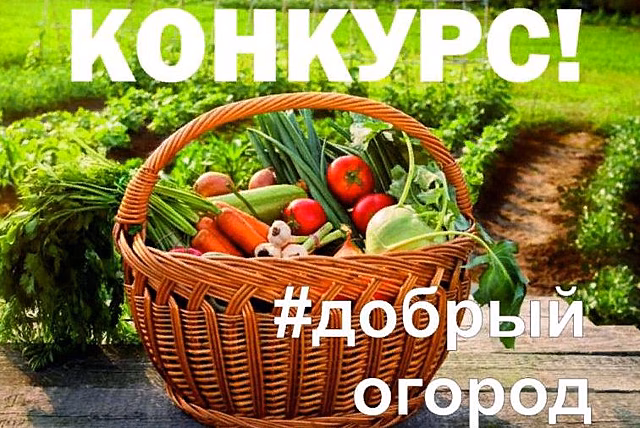 &laquo;Добрый огород&raquo; раздает гранты: жителей Дона приглашают стать участниками акции