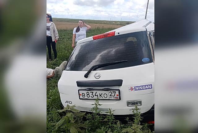 В Приморье в результате ДТП погиб котенок амурского тигра