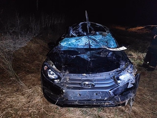 В Яранском районе водитель «Лады Гранты» сбил лося: пострадали два человека