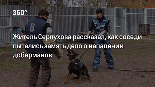 «Он держит жителей в страхе, и я не первая жертва». Бойцовый пес напал на беременную женщину с собачкой