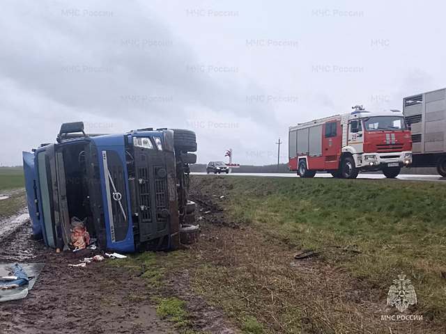 В Орловской области большегруз вылетел в кювет
