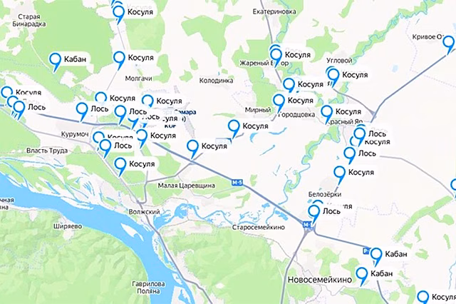 В Самарской области создали карту ДТП с дикими зверями