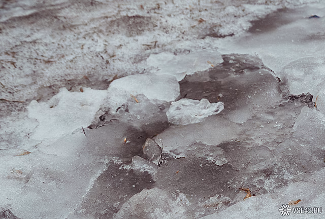 Аэропорт Толмачево выплатит жителю Новосибирска 230 тысяч рублей за аварию на гололеде