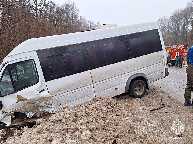 Под Тулой в ДТП с маршруткой пострадали 10 человек