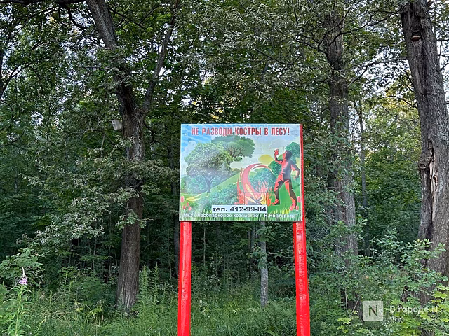 Запрет на посещение лесов ввели в Нижнем Новгороде