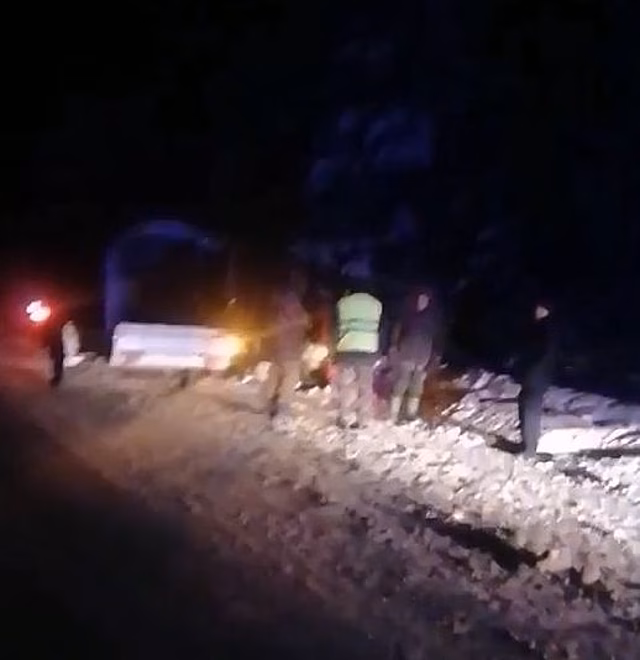 Подросток пострадал в ДТП из-за лося в Чкаловском округе