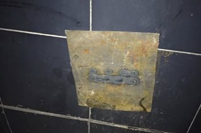 В Екатеринбурге коммунальщики замуровали кошачью семью в подвале