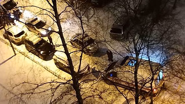 Массовая драка с участием собаки произошла в Петербурге