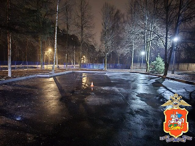 Дело возбуждено по факту гибели ребенка под машиной матери в Пушкине