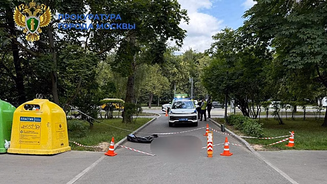 Суд отправил в СИЗО мужчину, сбившего насмерть пенсионерку в Москве