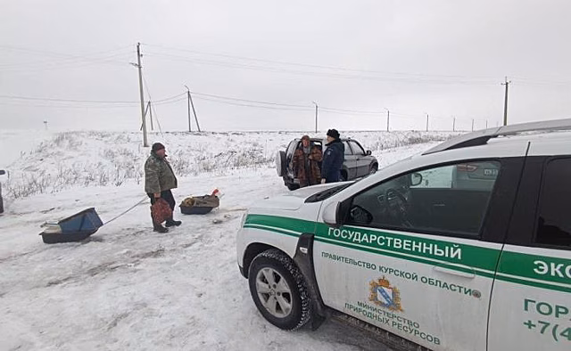В Курске на берегу реки выявили припаркованные с нарушением автомобили