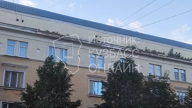 Фасад дома в центре Кемерова покрылся растительностью