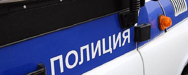 В Петербурге неизвестный похитил бультерьера голубого окраса