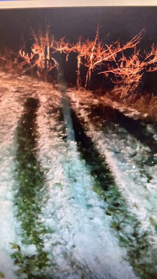 На трассе под Саратовом в опрокинутой легковушке пострадали двое детей