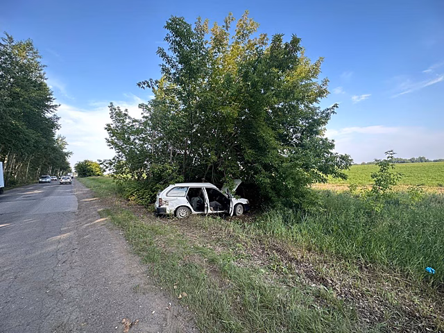 Под Новосибирском водитель Toyota Corolla умер за рулем и врезался в дерево