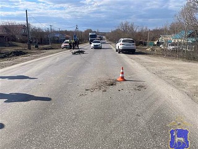 В Сызранском районе под колесами авто пострадал 76-летний пенсионер на мопеде