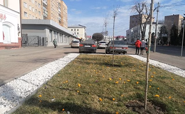 В Курске на ул.Ленина рейд по борьбе с машинами на тротуарах