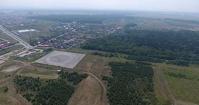 ​Тюменские чиновники не будут вырубать лес ради автомобильной дороги