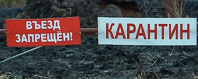 В соцсетях сообщили о закрытии двух омских сел на карантин из-за COVID-19