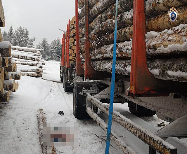 Уголовное дело возбуждено после гибели рабочего из-за упавшего ствола берёзы