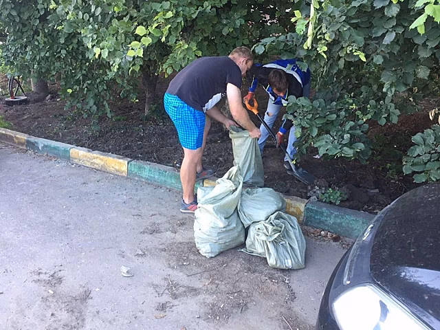 Слитый на деревья бетон на набережной Федоровского уже убрали