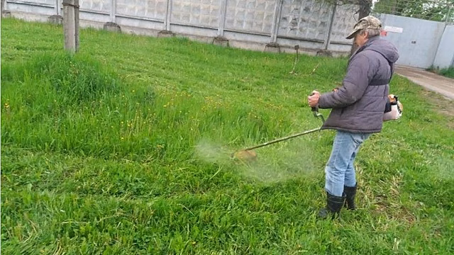 В Кирове ко Дню города планируют привести в порядок газоны