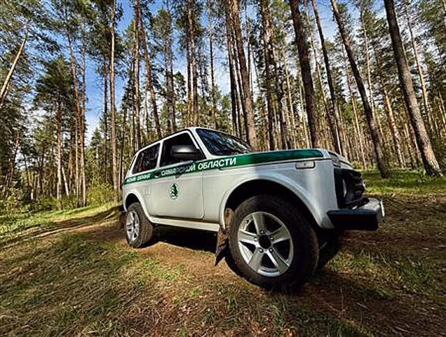 Лесная охрана Самарской области зафиксировала 150 нарушений за полгода